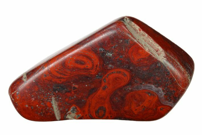 Polished Stromatolite (Collenia) - Minnesota #155576